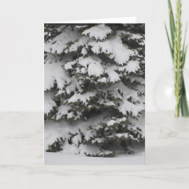 Tarjeta de vacaciones plegada de ramas nevadas