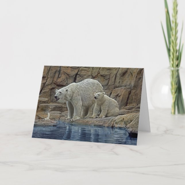 Tarjeta de vacaciones Polar Bear & Cub (Anverso)