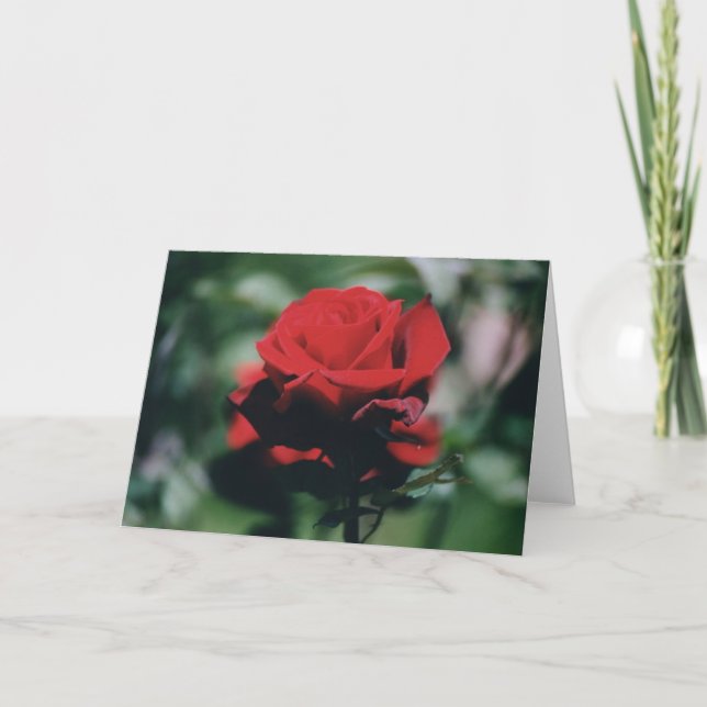 Tarjeta de vacaciones Red Rose (Anverso)