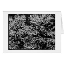 Tarjeta de vacaciones 'Resumen de Invierno' - Navi