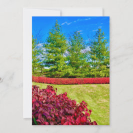 Tarjeta de vacaciones roja y verde