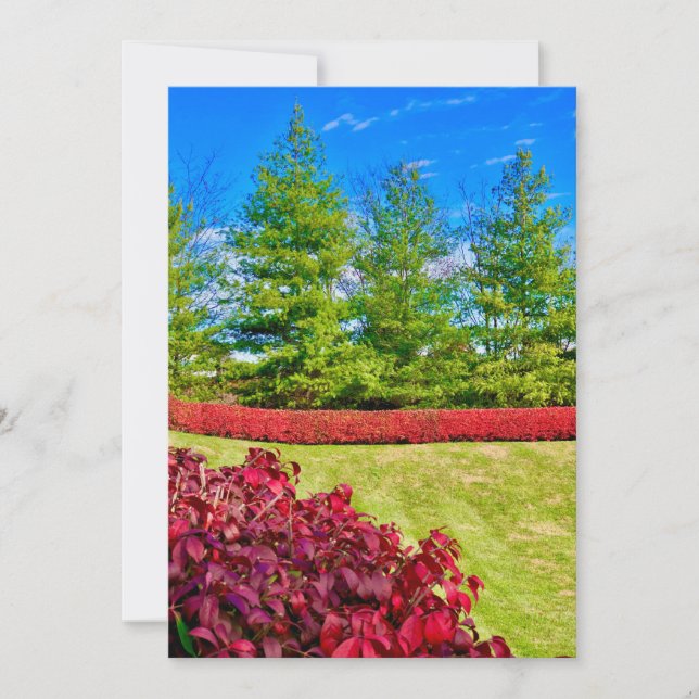 Tarjeta de vacaciones roja y verde (Anverso)