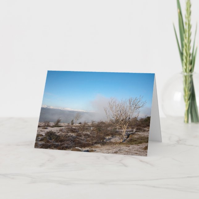 Tarjeta de vacaciones Scout Cumbria Inglaterra (Anverso)