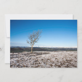 Tarjeta de vacaciones Scout Scar