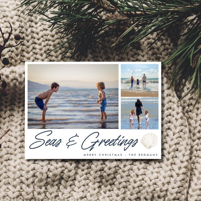 Tarjeta de vacaciones Seas & Greetings Coastal Fam (Seas & Greetings Coastal Family Holiday Card)