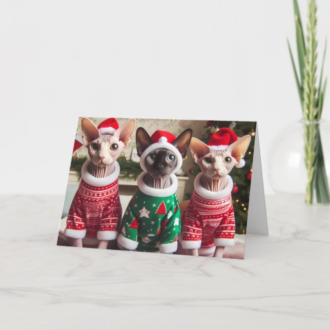 Tarjeta de vacaciones Sphynx Kittens Navidades (Anverso)