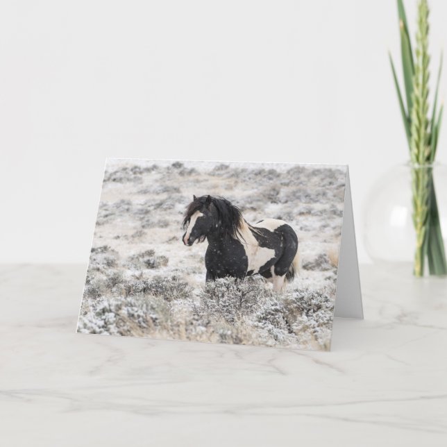 Tarjeta de vacaciones "Washakie in Winter" (Anverso)