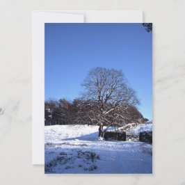 Tarjeta de vacaciones Winter Tree Lyme Park