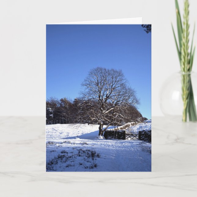 Tarjeta de vacaciones Winter Tree Lyme Park (Anverso)