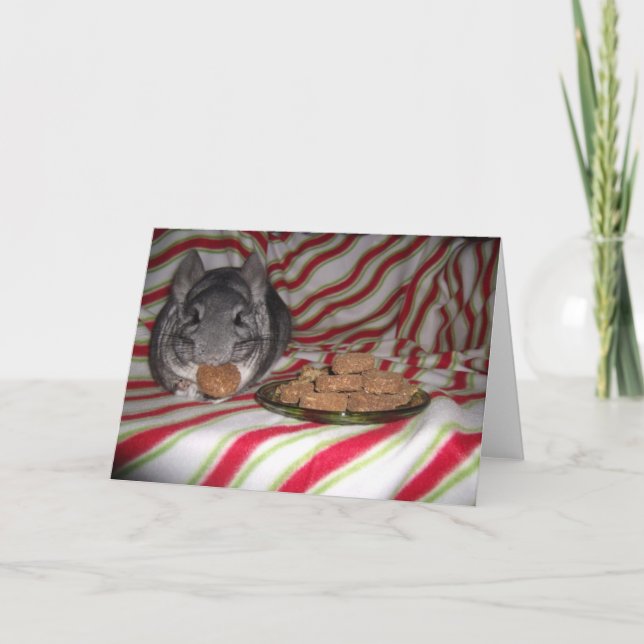 Tarjeta de vacaciones Wunderchins 2012 (Anverso)