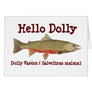 Tarjeta de Varden del carro