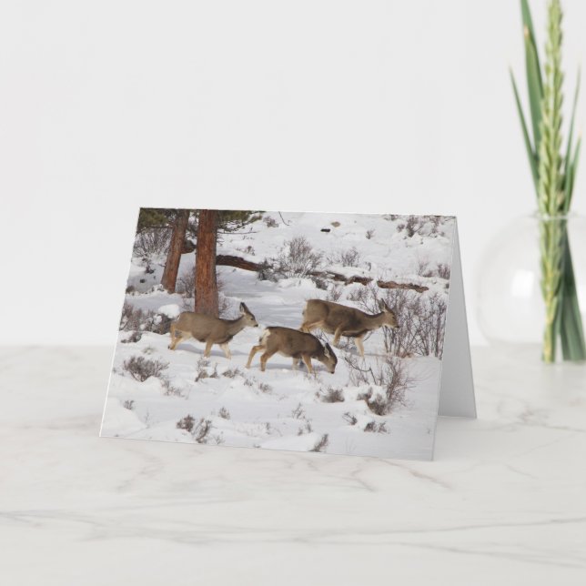 Tarjeta de venado (Anverso)