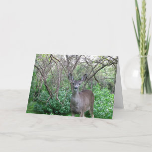 Tarjeta de Venado en Woods se recuperará pronto