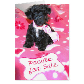 Tarjeta de venta de juguetes de juguete negro