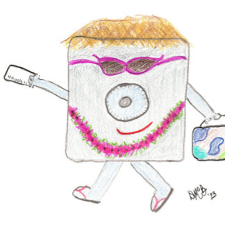 Tarjeta de viaje segura