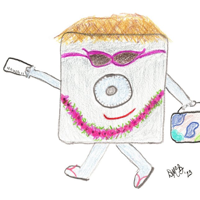 Tarjeta de viaje segura (Subido por el creador)