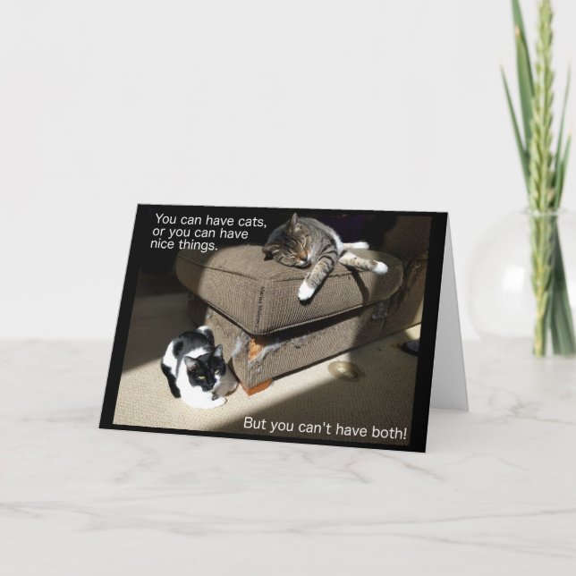 Tarjeta de vida con gatos (Anverso)