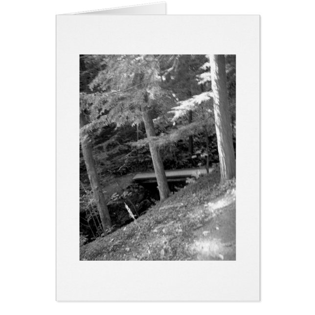 Tarjeta de vidrio de raíz blanca y negra (Frente)