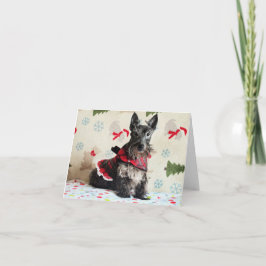 Tarjeta de Vigilancia de Santa Paws