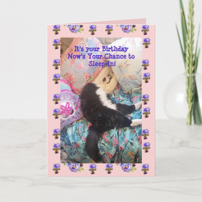 Tarjeta de Viola para gatos de Tuxedo Cute Gracios (Anverso)