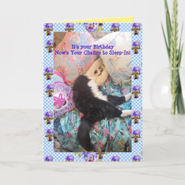 Tarjeta de Viola para gatos de Tuxedo Cute Gracios (Anverso)