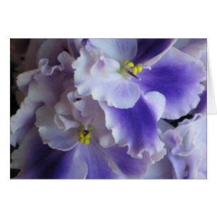 Tarjeta de violetas africana