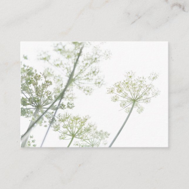 Tarjeta de visita (Anverso)