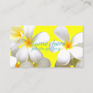 Tarjeta De Visita 米スタンダード 8.89cm x 5.08cm名刺