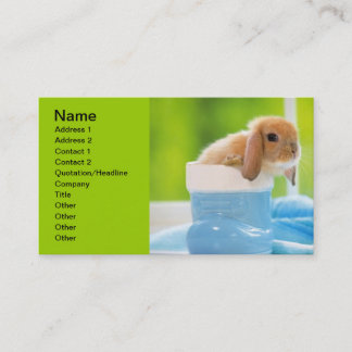 Tarjeta De Visita 20_baby_Animales (4) BABY BUNNY RABBBIT blue green