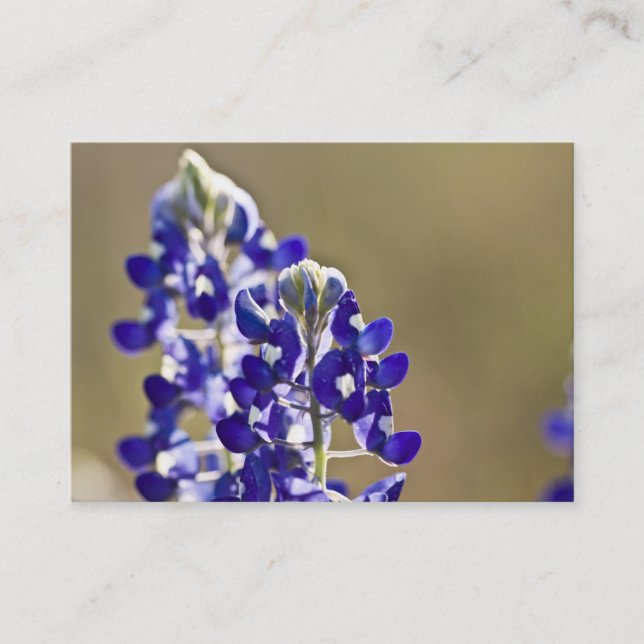 Tarjeta De Visita 2 es mejores de uno (Anverso)