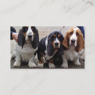 Tarjeta De Visita 3 cachorros de basset hound