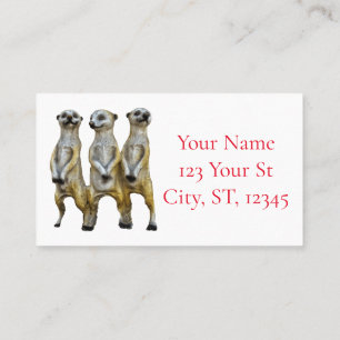 Tarjeta De Visita 3 Meerkats permanentes Thunder_Cove