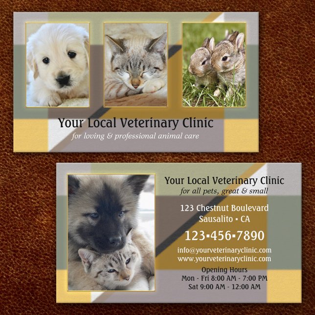 Tarjeta De Visita 4 Fotos Animal o Veterinario Clinical (Subido por el creador)