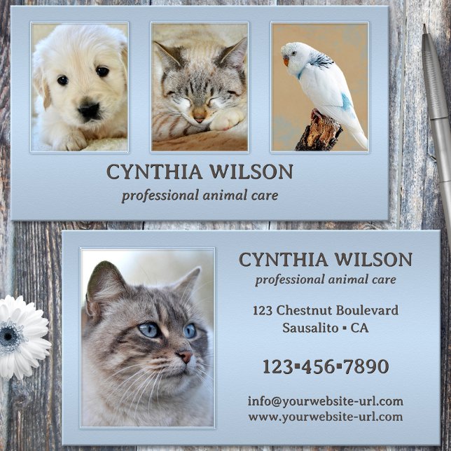 Tarjeta De Visita 4 fotos Clínica animal o Cuidados azul turbio (Ver or animal business card featuring your photos (optional) framed by a dusty blue elegant design)