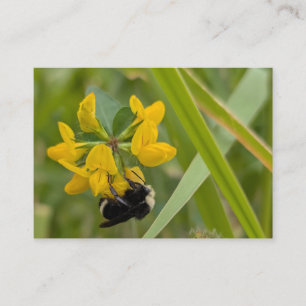 Tarjeta De Visita Abejorro en Flor Silvestre Amarilla
