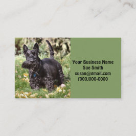 Tarjeta De Visita Ach