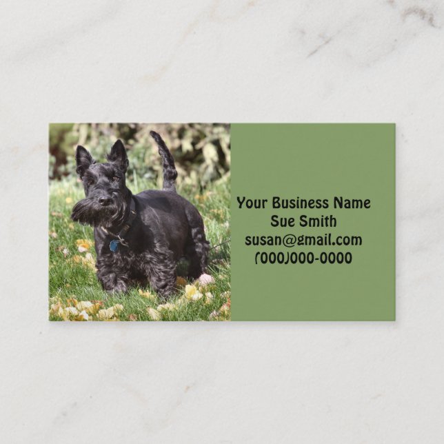 Tarjeta De Visita Ach (Anverso)