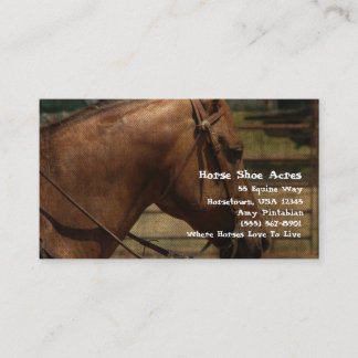 Tarjeta De Visita Acres del zapato del caballo occidentales