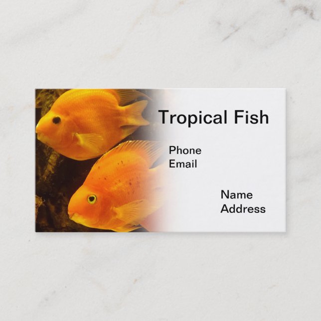 Tarjeta De Visita Acuario con los pescados anaranjados tropicales (Anverso)