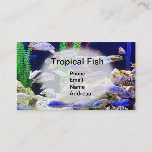 Tarjeta De Visita Acuario con los pescados tropicales hermosos (Anverso)