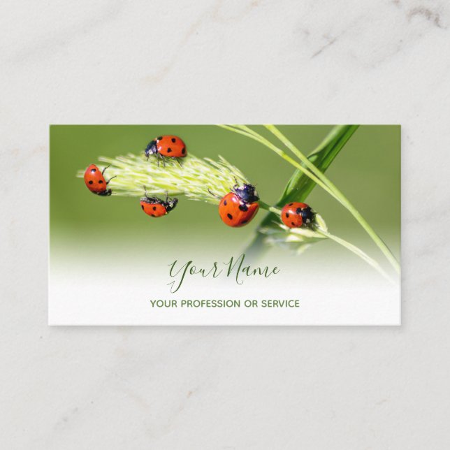 Tarjeta De Visita Afortunados ladybugs positivos para un bus de bien (Anverso)