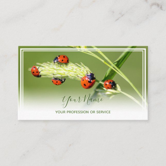 Tarjeta De Visita Afortunados y positivos ladybugs por un bienestar  (Anverso)