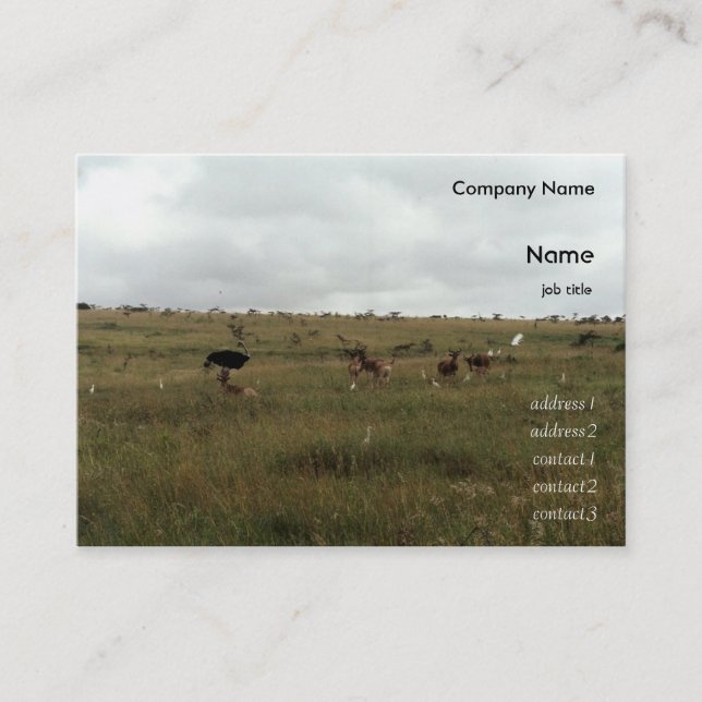 Tarjeta De Visita África: Animales salvajes de Kenia (Anverso)