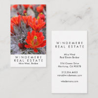 Agente inmobiliario único Broker Red Cactus florec