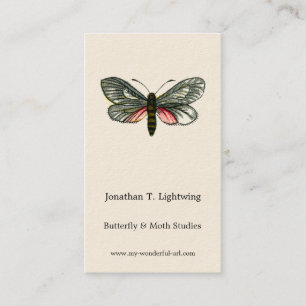 Tarjeta De Visita Aglaope infausta - Almond Tree Leaf Skeletonizer B