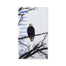 Águila calva americana