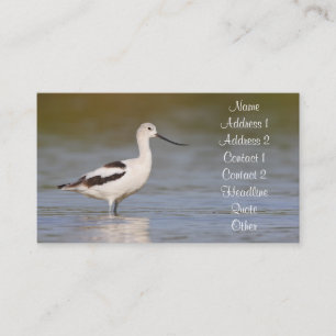 Tarjeta De Visita Agujero blanco americano