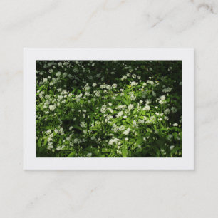 Tarjeta De Visita Ajo salvaje (bordeado)