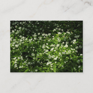 Tarjeta De Visita Ajo silvestre