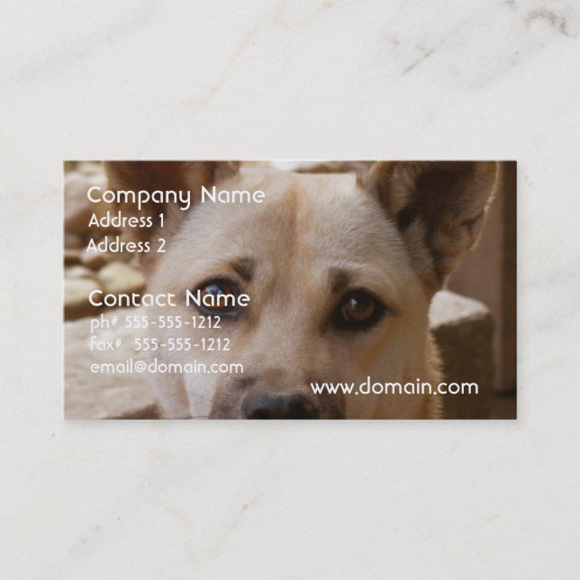 Tarjeta De Visita Akita dulce (Anverso)